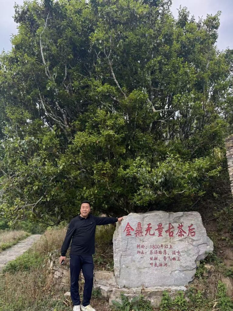 古茶園石碑：產區身分的實地記錄