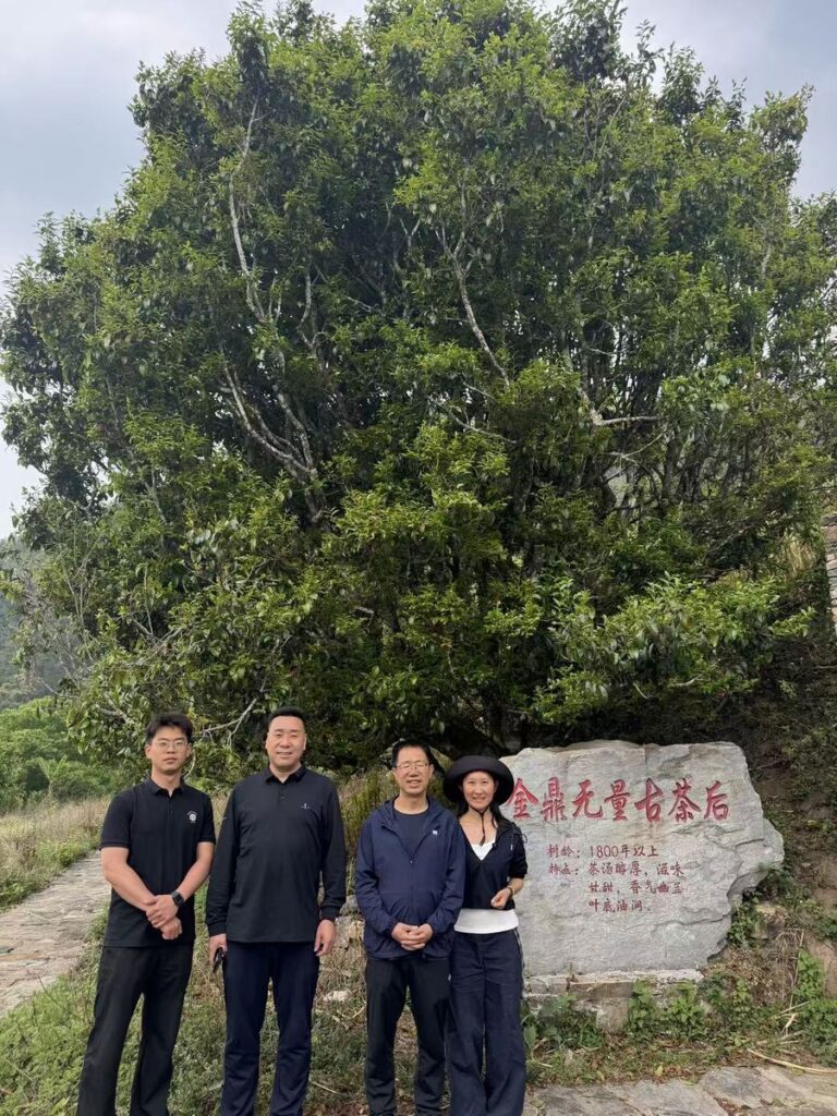 茶山合影：與茶農一同上山
