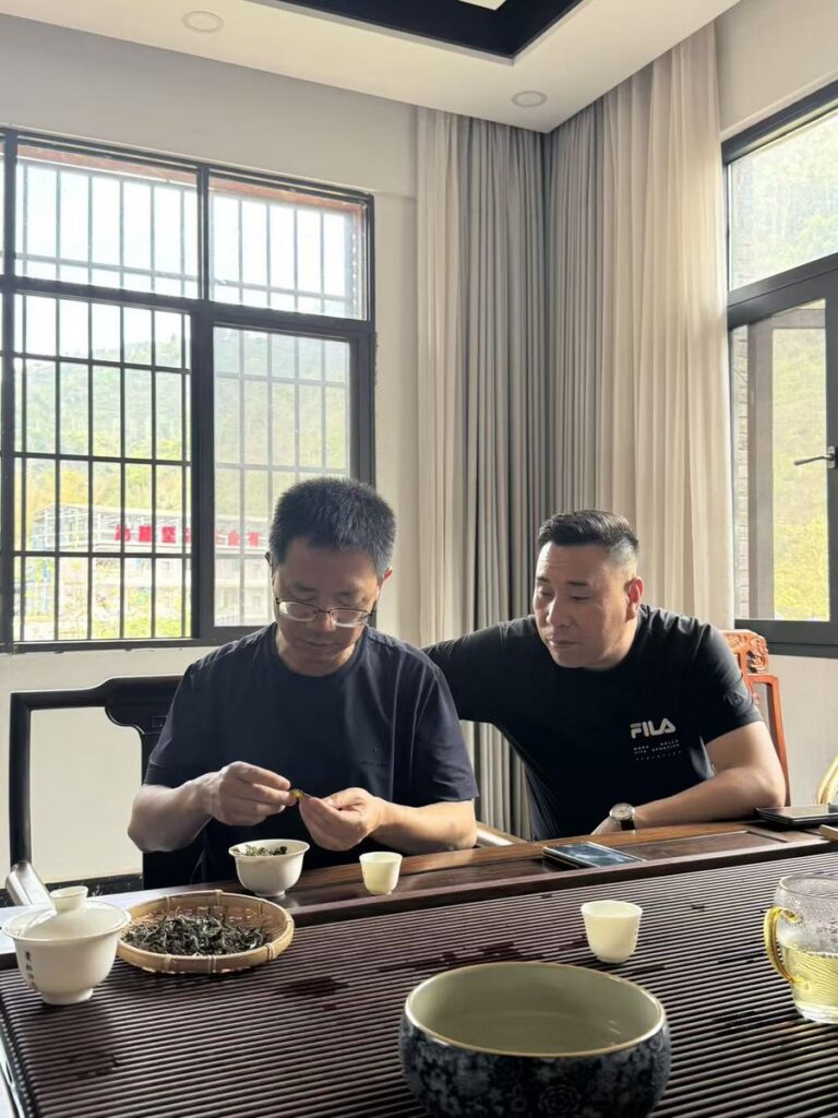審評茶樣：進廠前先以感官把關
