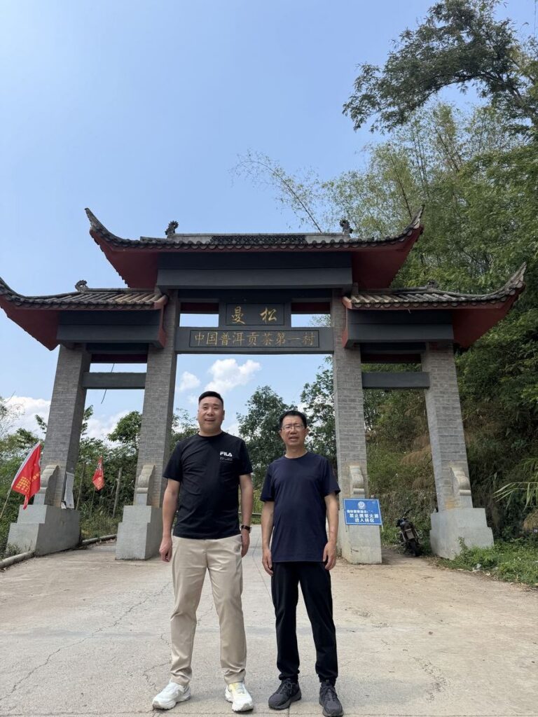 曼松「中國普洱茶第一村」實地走訪
